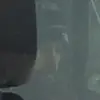 dear Douglas - @dear.douglas - TikTok