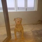 Douglas Dee - Facebook