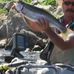 Doug DeHaven - Facebook
