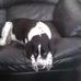 Douglas Delk - Facebook