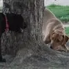 Douglas Doak - @douglas.doak - TikTok