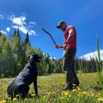 Douglas DD Donald - @douglas_donald_dd - Instagram