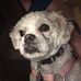 Douglas Donald - Facebook