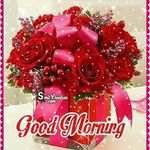 Douglas Donald - @douglas.donald.528 - Instagram