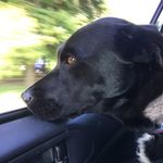 Otto Douglas Dudley III - @ottodouglasdudley - Instagram