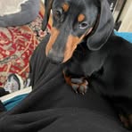 Doug Eades - Facebook