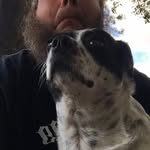Douglas Edmonds - @yourlocalcarpenter - Instagram