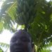 Douglas Ekessa - Facebook