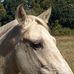 Doug Elam - Facebook