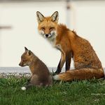 Doug Lambert - @douglas_e_lambert_photography - Instagram