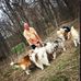 Doug Ellerman - Facebook