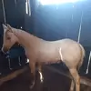 DOUGLAS - @douglasely126 - TikTok