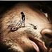 Douglas Ely - Facebook