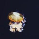 Dougllasfake - @douglas_157_enos - Instagram