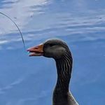- - @douglas_farrand - Instagram