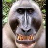 douglasfirely - @douglasfirely - TikTok