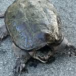 Douglas C. Ferrell - @dferrell2004 - Instagram