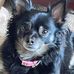 Doug Firestone - Facebook