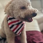 Douglas Foley - @foleyd14 - Instagram