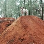 Douglas Foley - @douglas.foley.125 - Instagram
