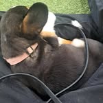 Douglas Folkegård - @douglasfolkegard - Instagram