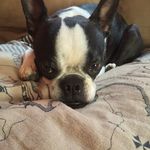 Douglas Fordyce - @crescentroller - Instagram