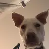 Doug And Friends - @douglasandfriends - TikTok