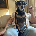 Douglas Friend - @douglasfriend - Instagram