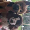the_douglasfriends_ - @the_douglasfriends_ - TikTok