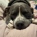 Dougie Funke - Facebook