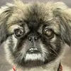 Douglas Gamble - @douglas.gamble1 - TikTok