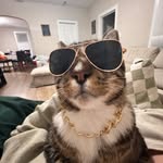 Gamble - @the.gambler.douglas - Instagram
