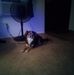 Doug Garlock - Facebook