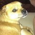 Douglas Garlock - Facebook
