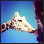 jenigeigerdouglas - @jenigeigerdouglas - Instagram