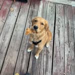 Doug - @douglas_glaser - Instagram