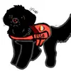 Douglas lover - @douglasdoglover123 - TikTok