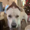 douglasglover01 - @douglasglover01 - TikTok