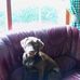 Douglas Goodfellow - Facebook