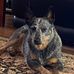 Doug Gow - Facebook