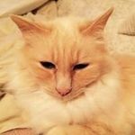 Douglas Gowen - @douglas_gowen - Instagram