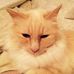 Douglas Gowen - Facebook