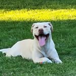 Douglas Graybill - @dgraybill1969 - Instagram