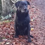 Douglas Greig - @douglas.greig - Instagram