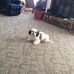 Douglas Grover - Facebook