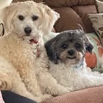 Douglas gunderson - @gunderson_douglas - Instagram