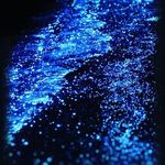 douglas guth - @douglasguth65 - Instagram
