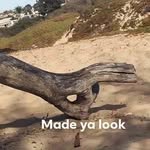 @douglas.haugh - Instagram