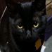 Doug A Hecht - Facebook