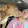 erikdouglashelm - @erik.douglas.helm - TikTok